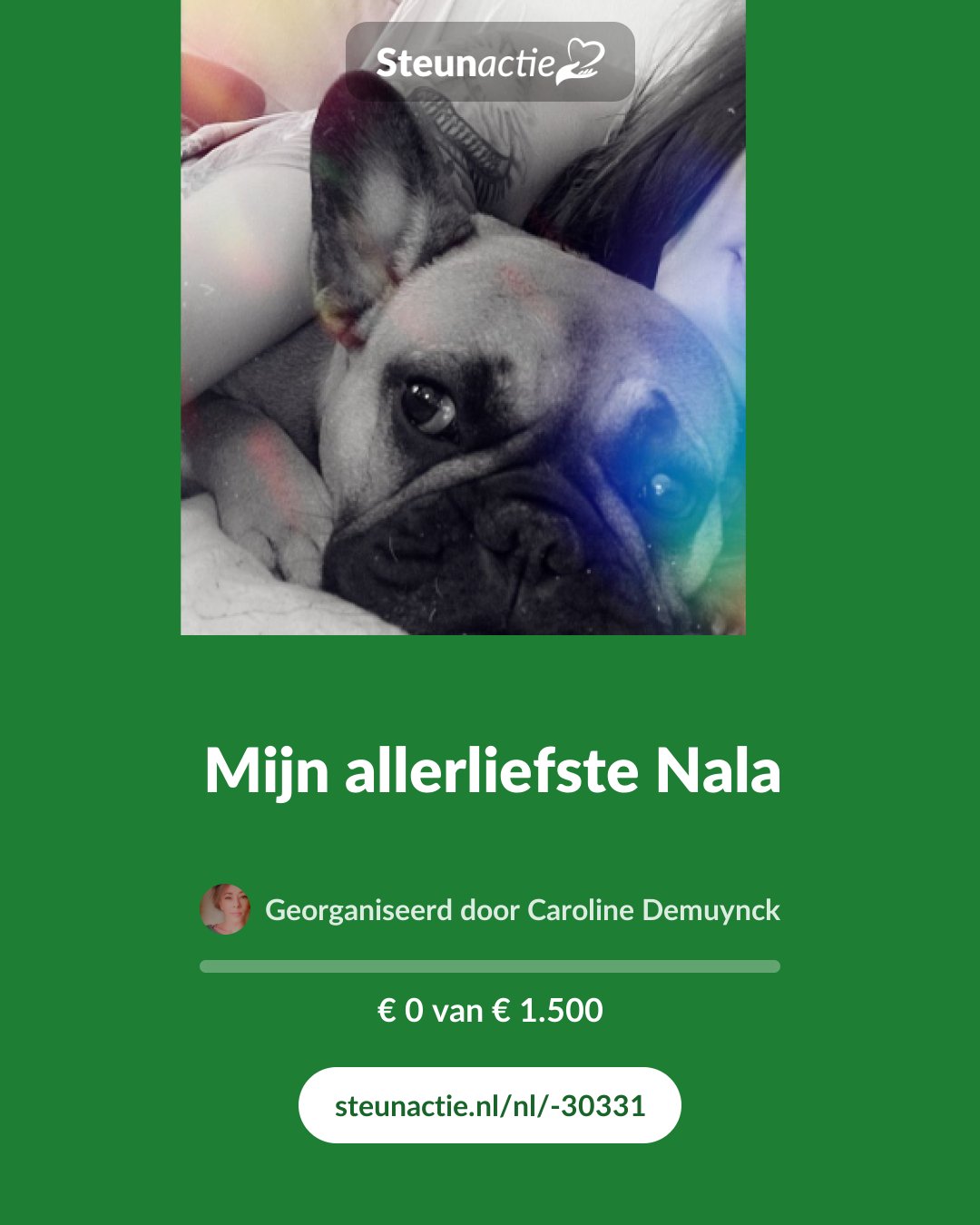 Voorbeeld van de afbeelding