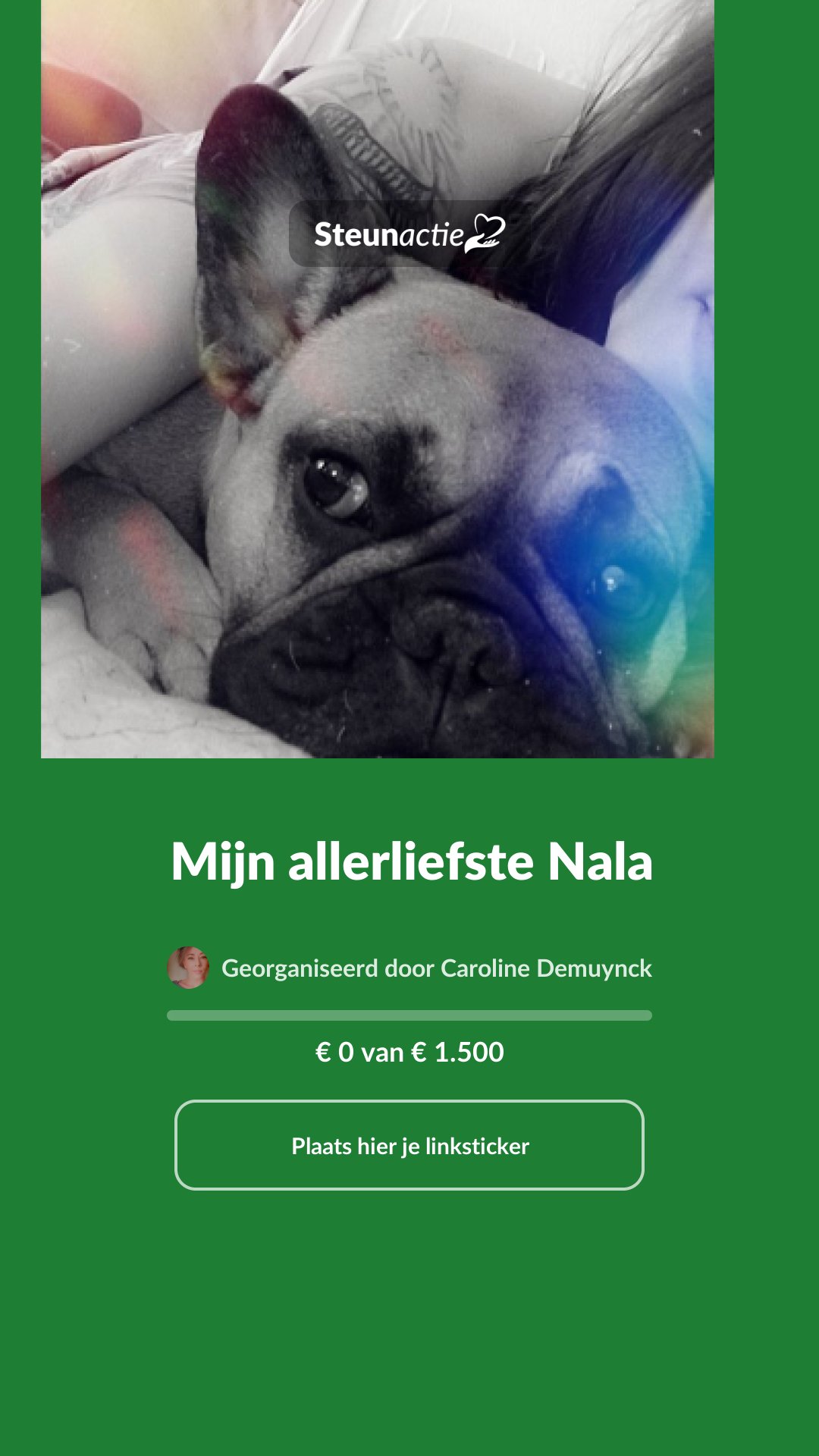 Voorbeeld van de afbeelding