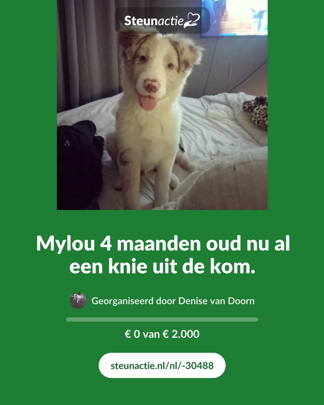 Voorbeeld van de afbeelding