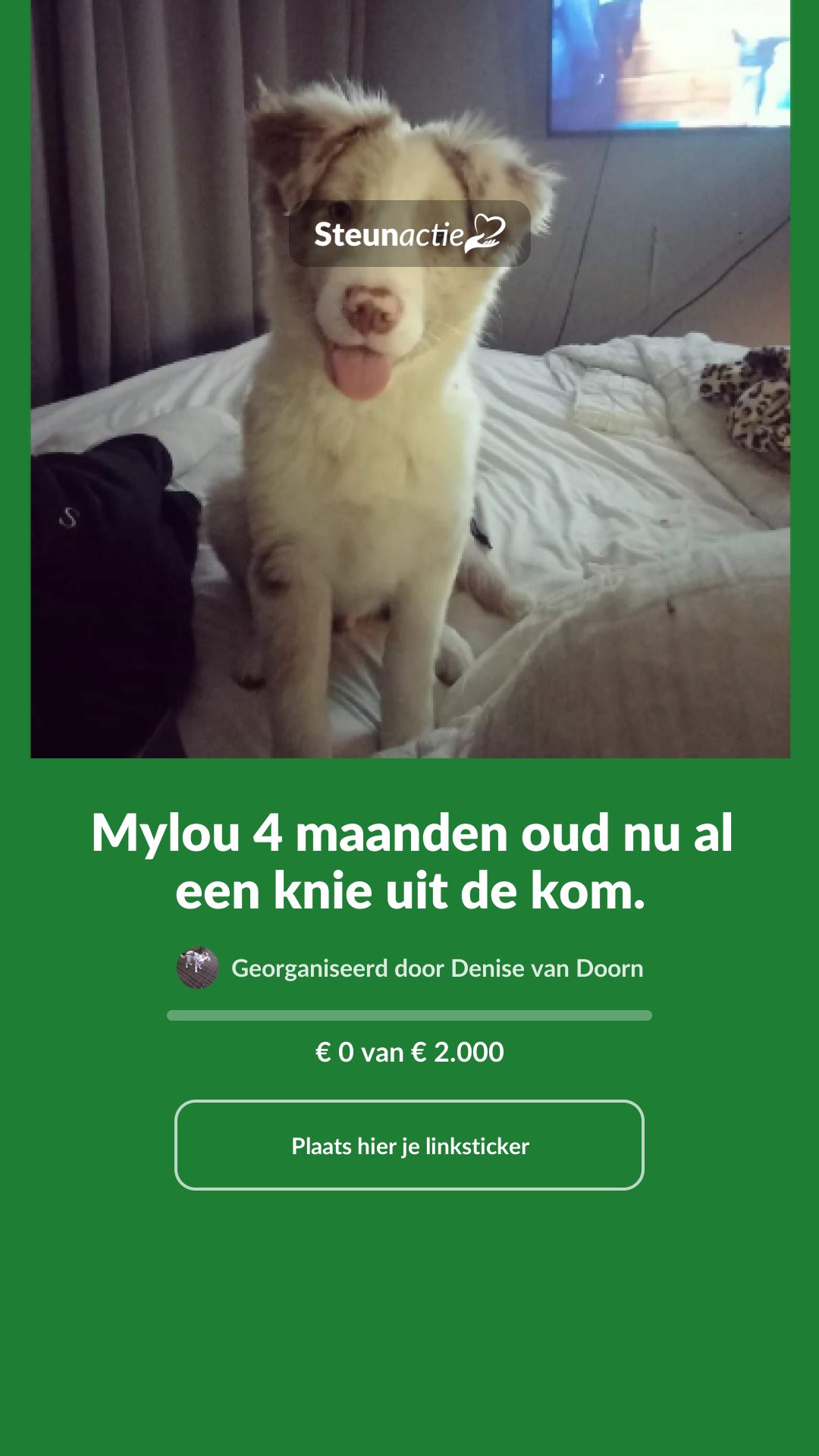 Voorbeeld van de afbeelding