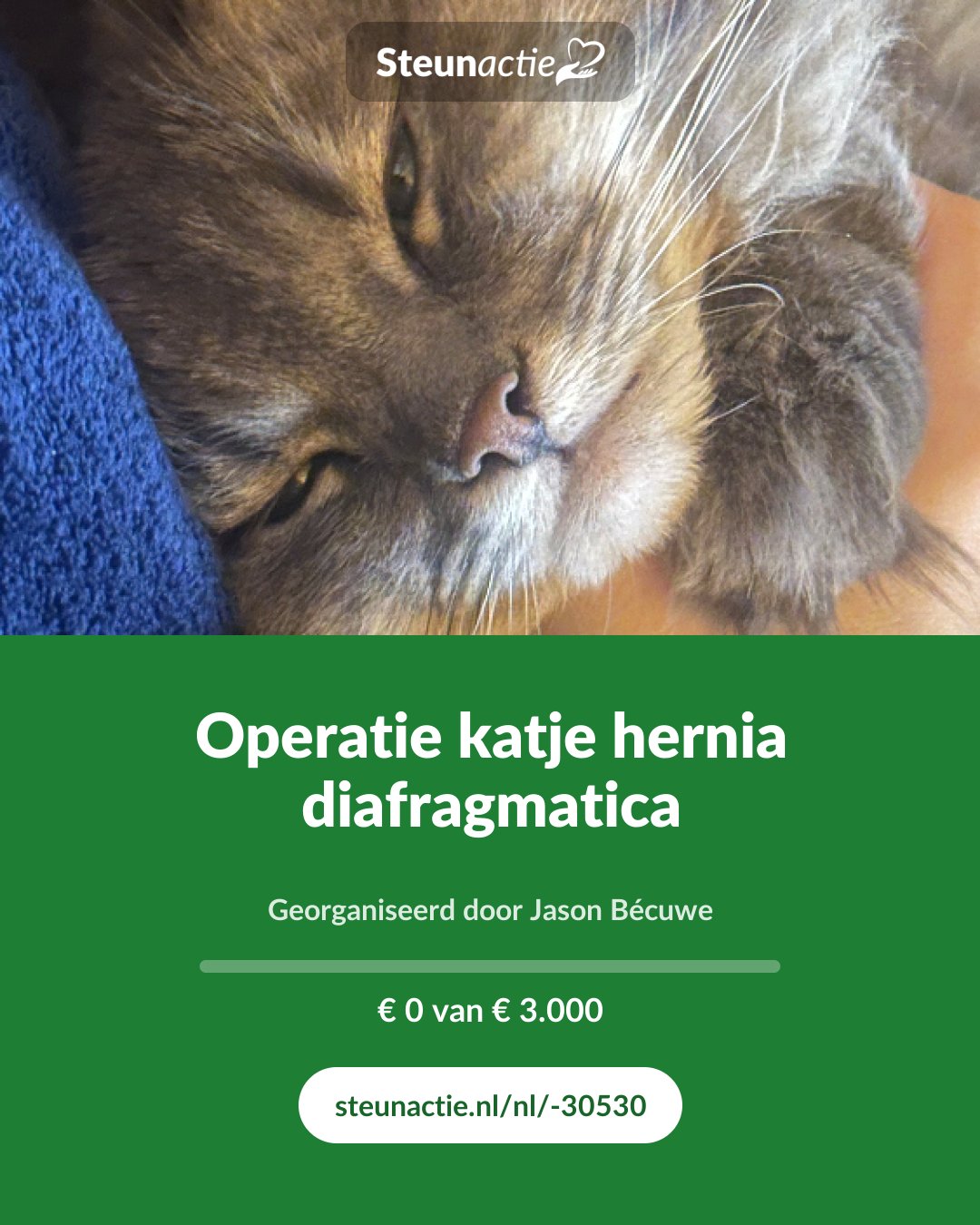 Voorbeeld van de afbeelding