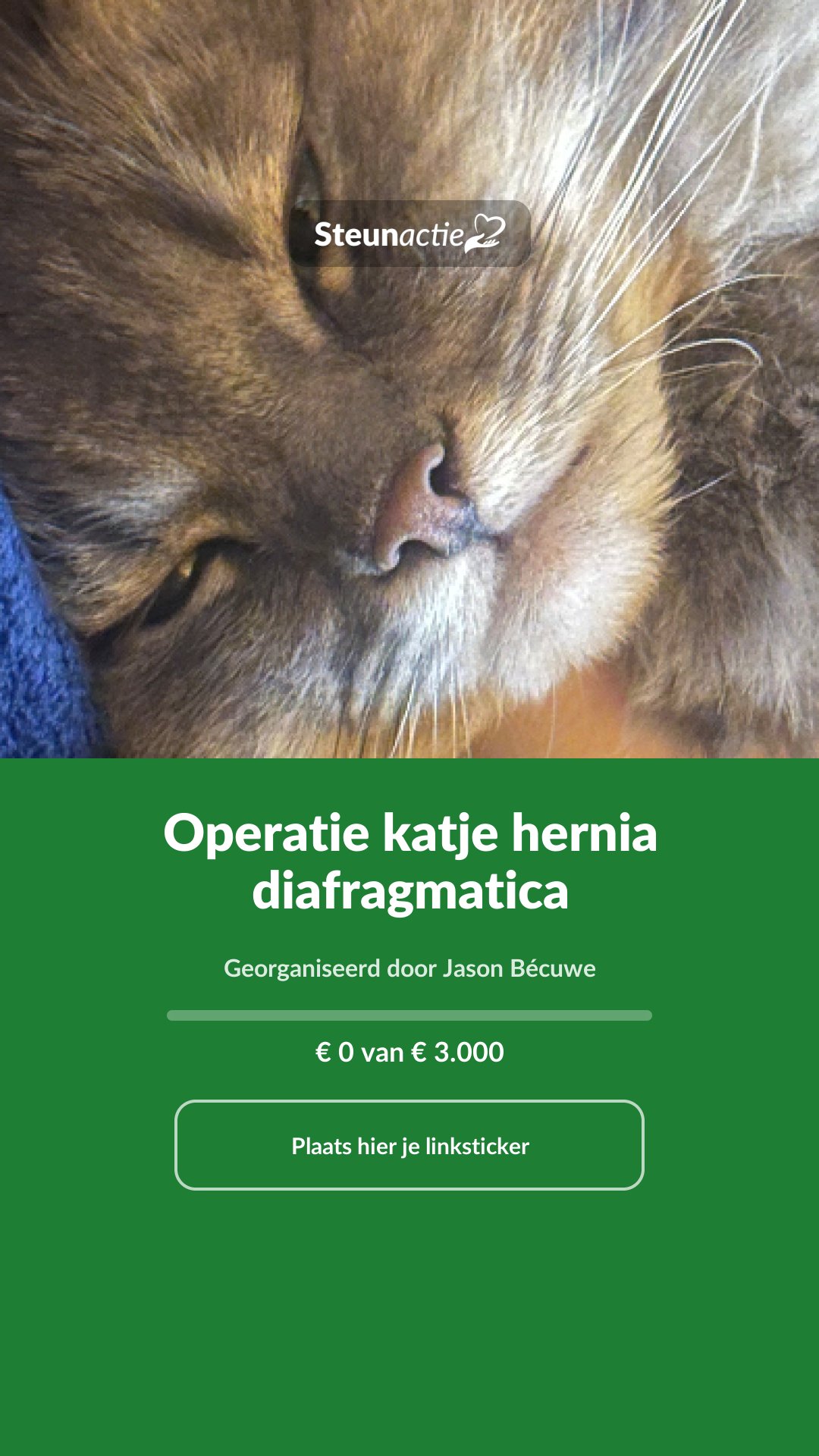 Voorbeeld van de afbeelding