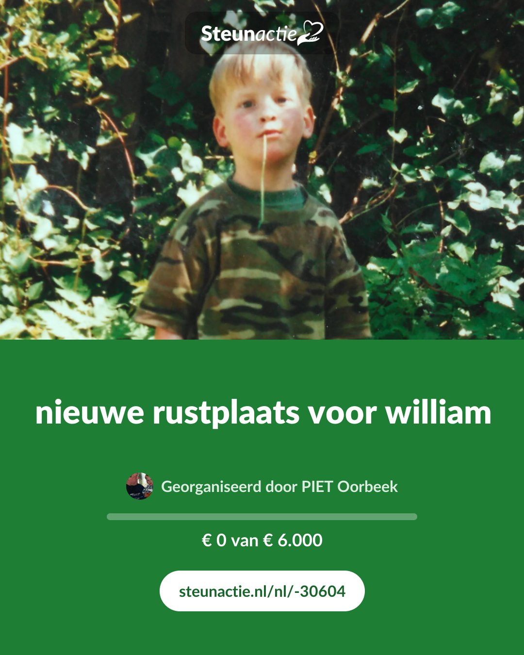 Voorbeeld van de afbeelding