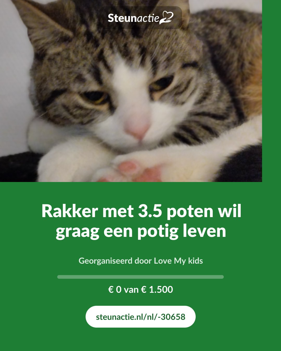 Voorbeeld van de afbeelding