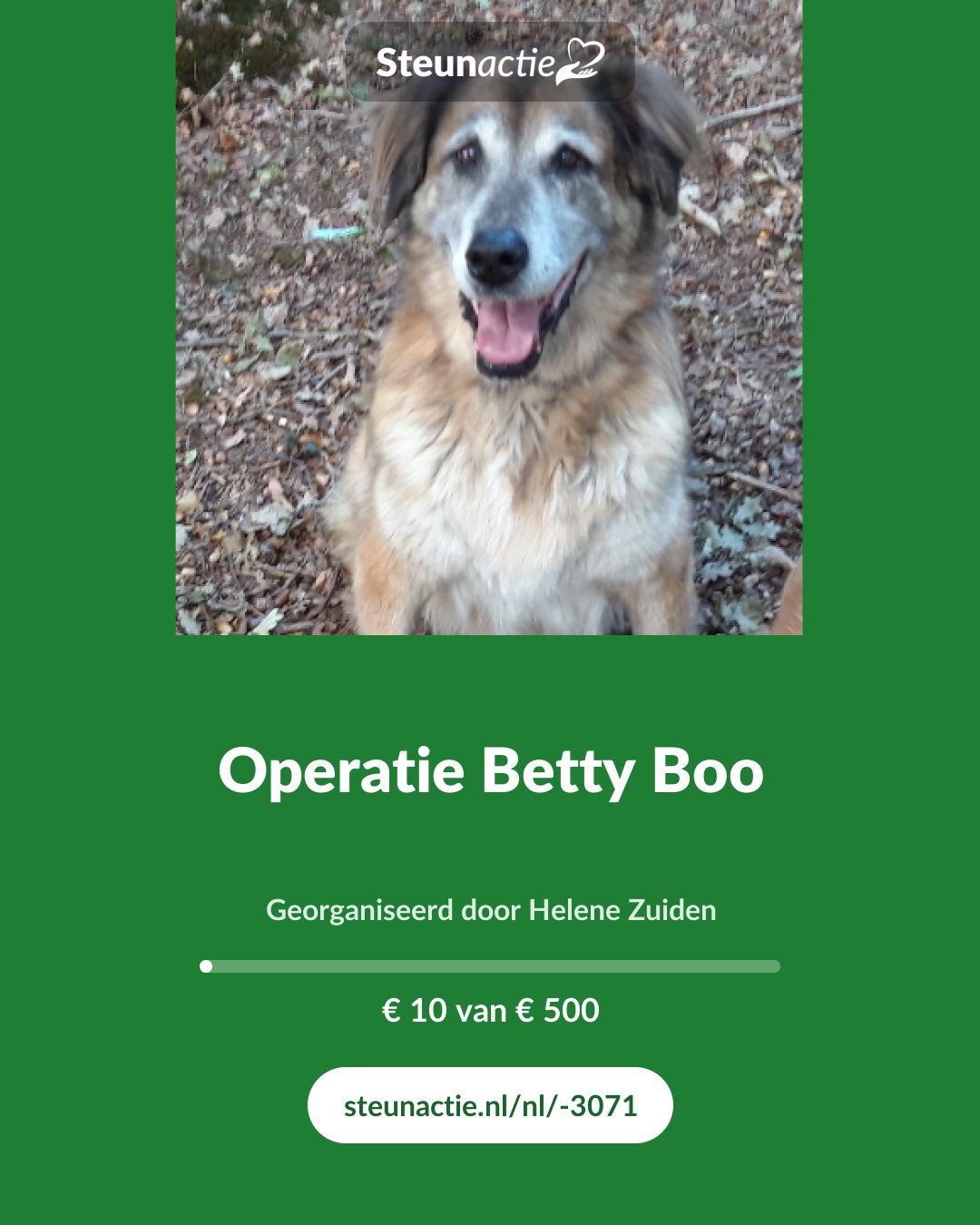Voorbeeld van de afbeelding