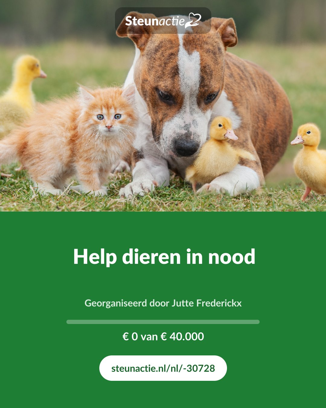 Voorbeeld van de afbeelding