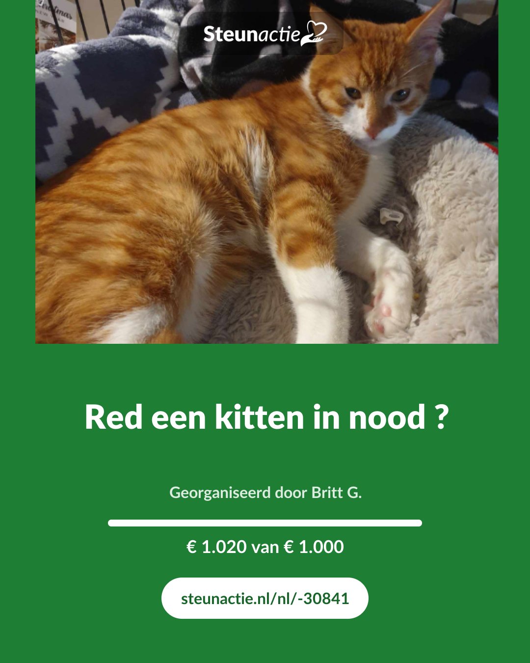 Voorbeeld van de afbeelding