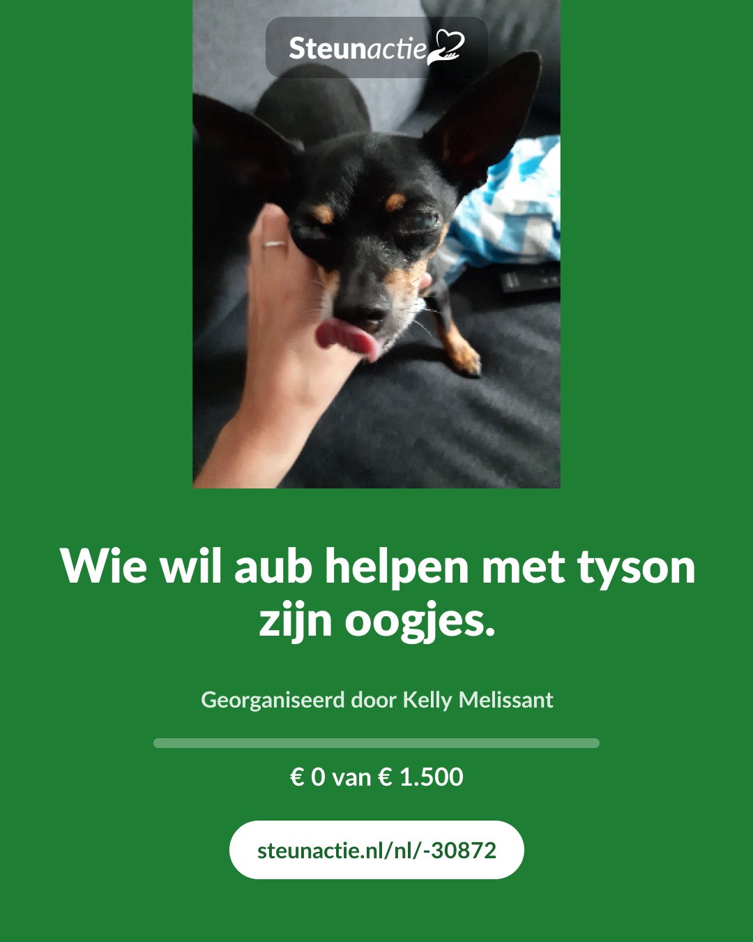 Voorbeeld van de afbeelding