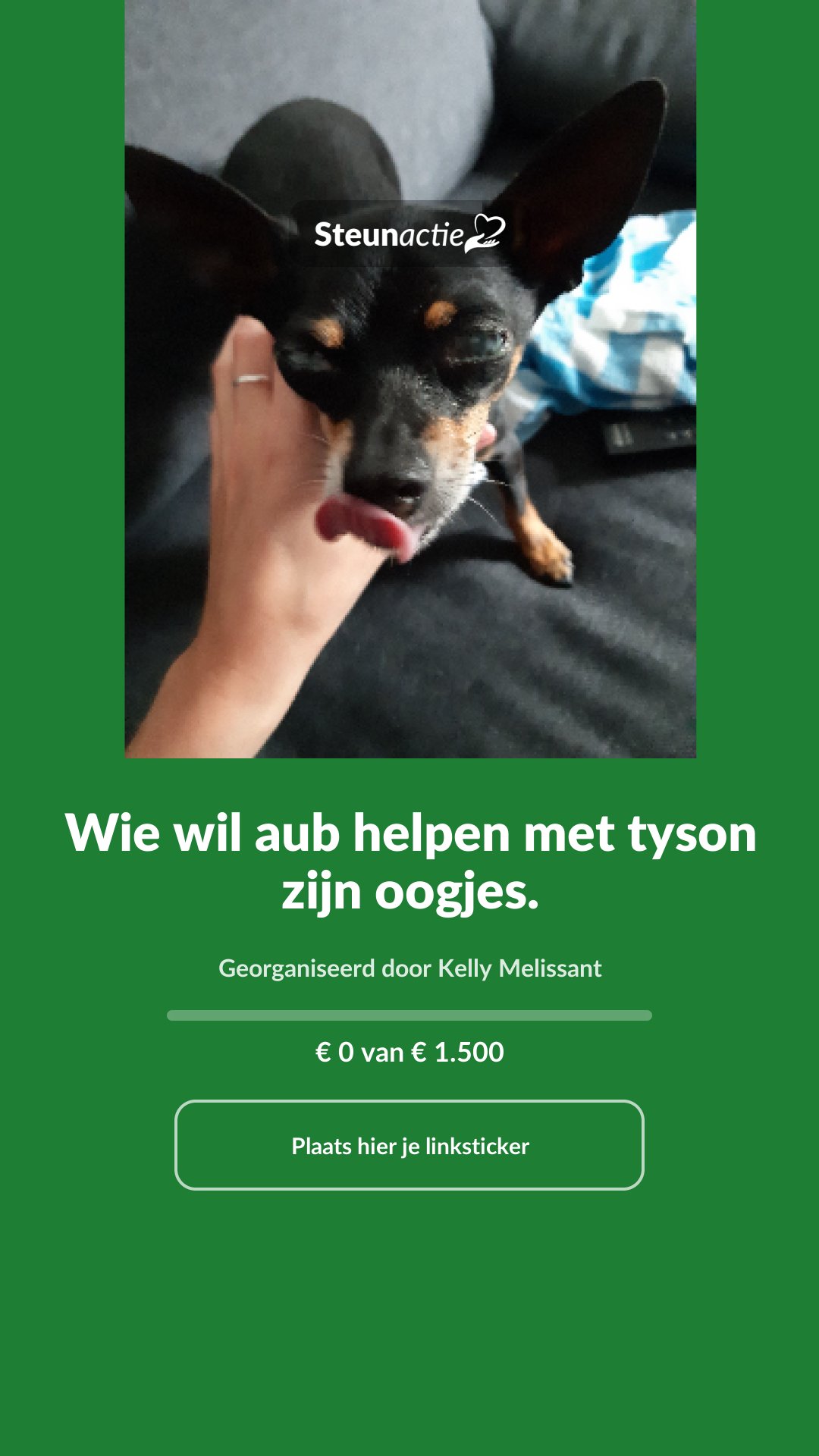 Voorbeeld van de afbeelding