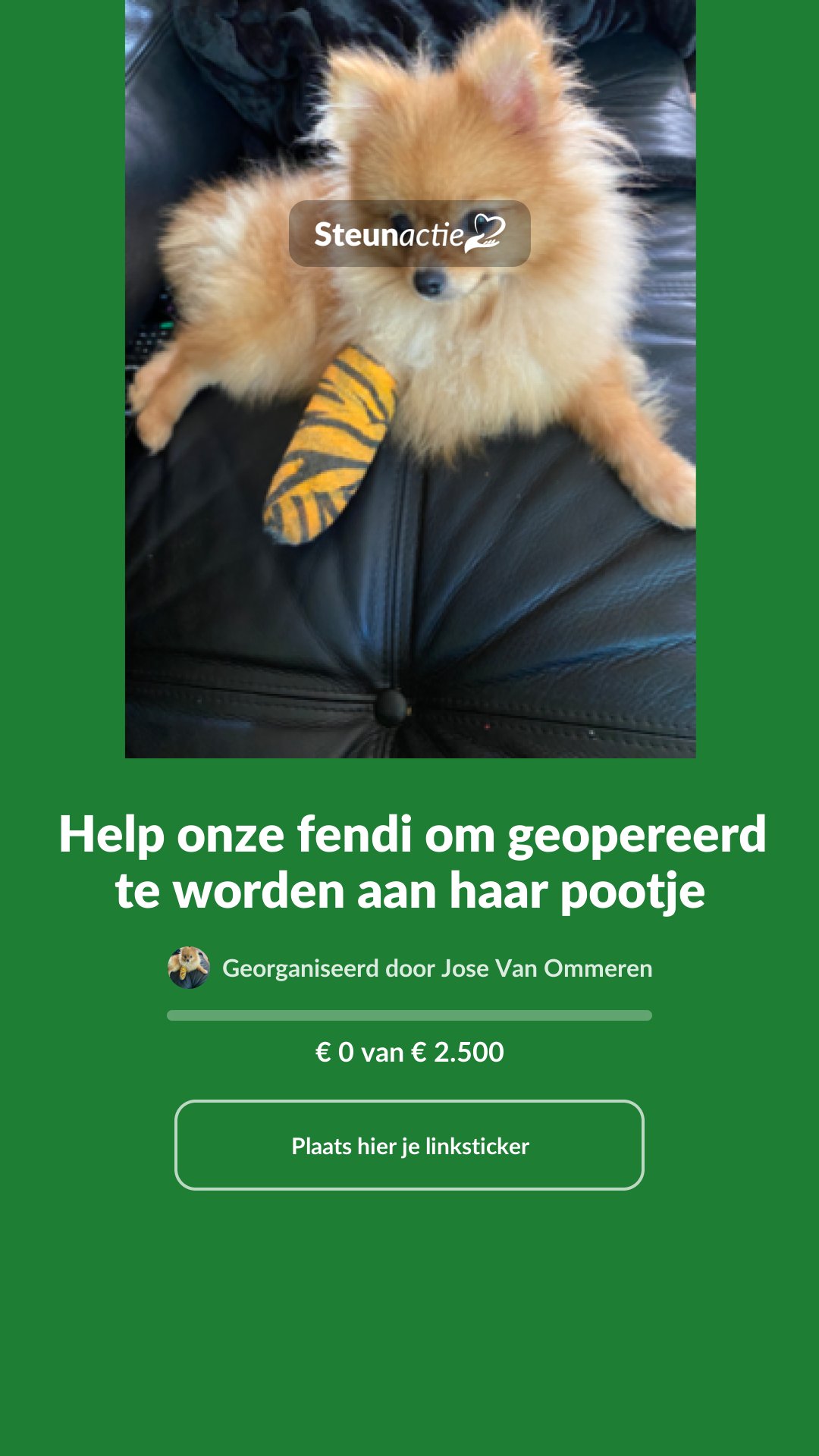 Voorbeeld van de afbeelding