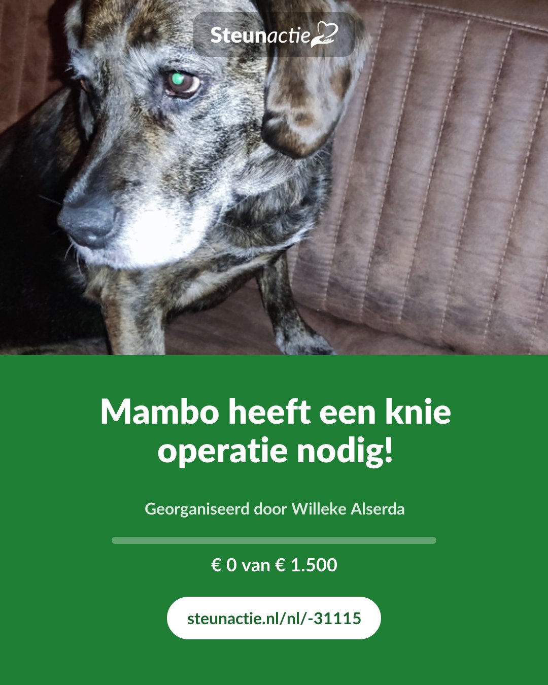 Voorbeeld van de afbeelding