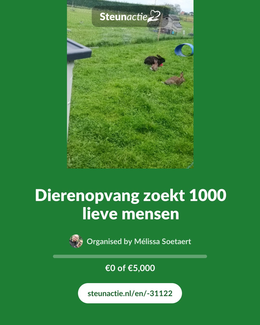 Preview of the image