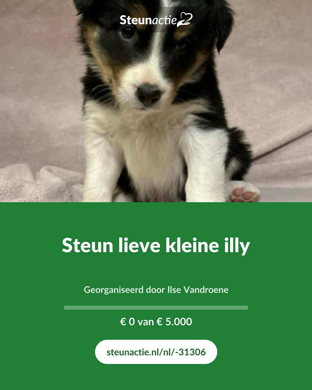 Voorbeeld van de afbeelding
