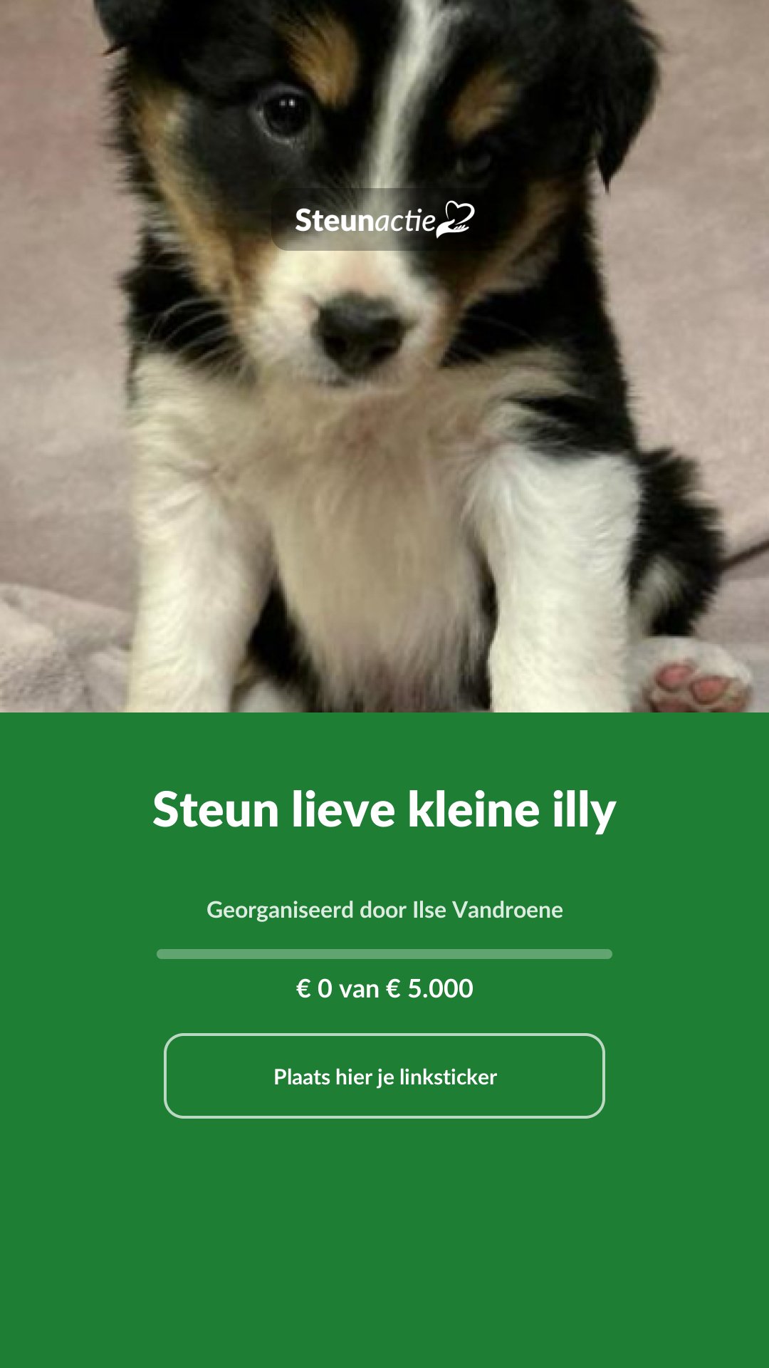 Voorbeeld van de afbeelding