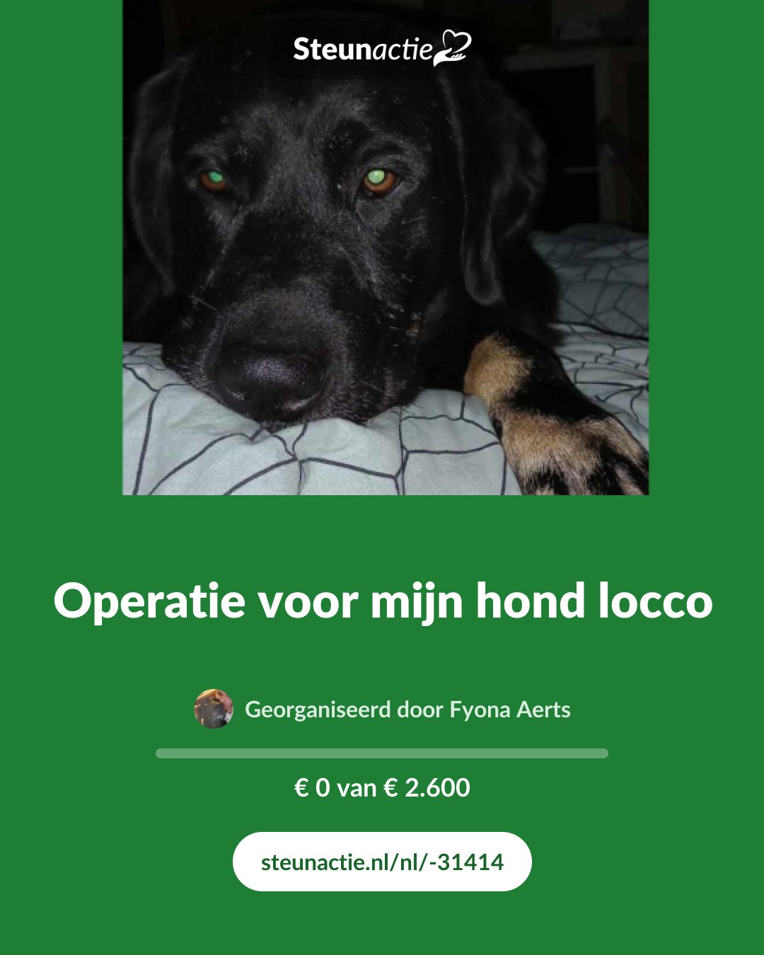 Voorbeeld van de afbeelding