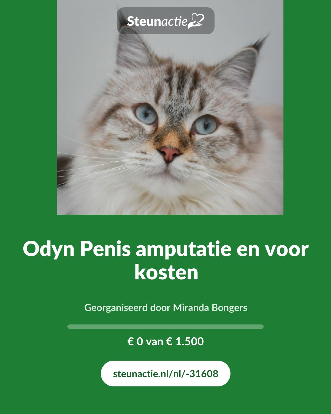 Voorbeeld van de afbeelding