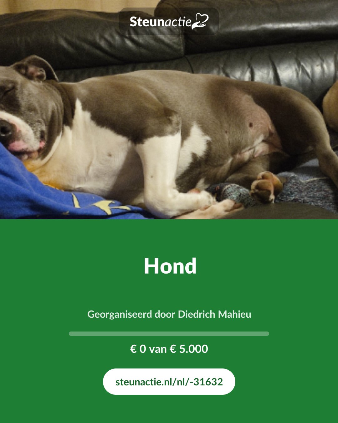 Voorbeeld van de afbeelding