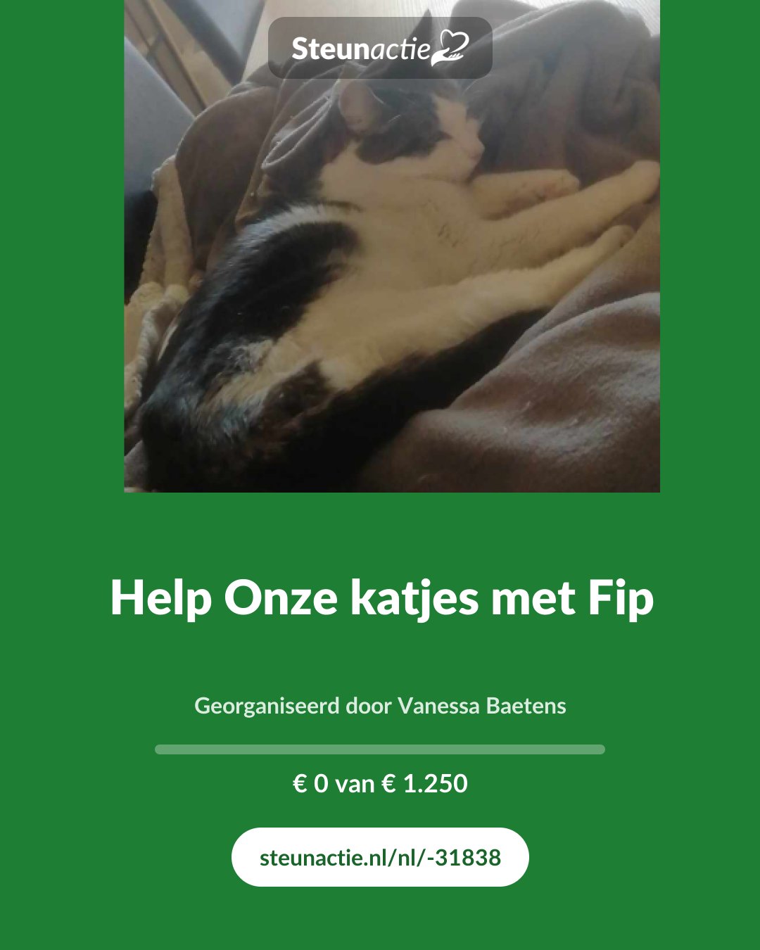 Voorbeeld van de afbeelding