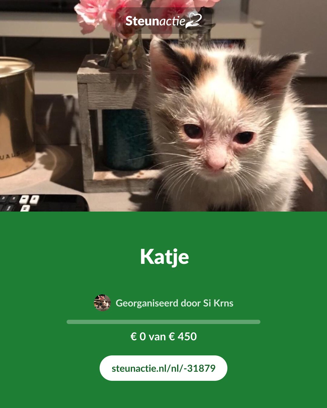 Voorbeeld van de afbeelding
