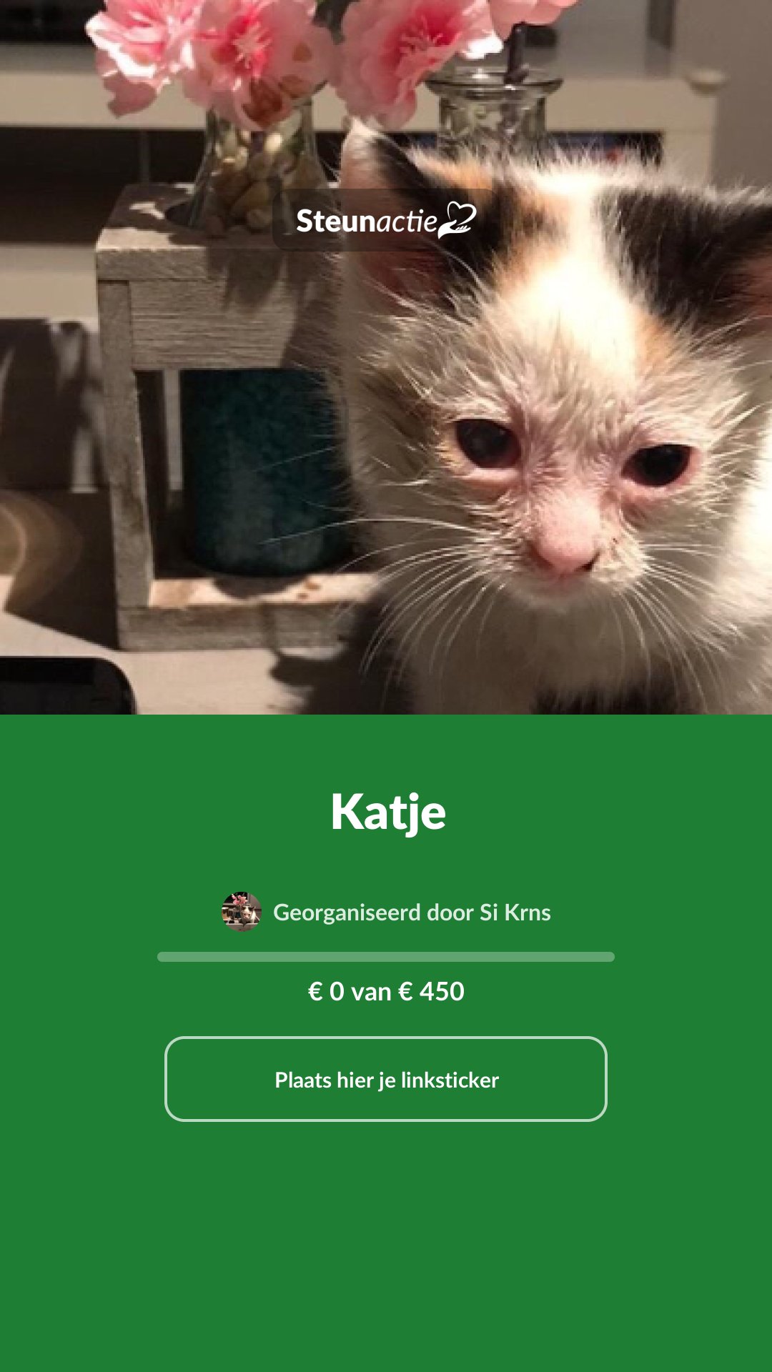 Voorbeeld van de afbeelding