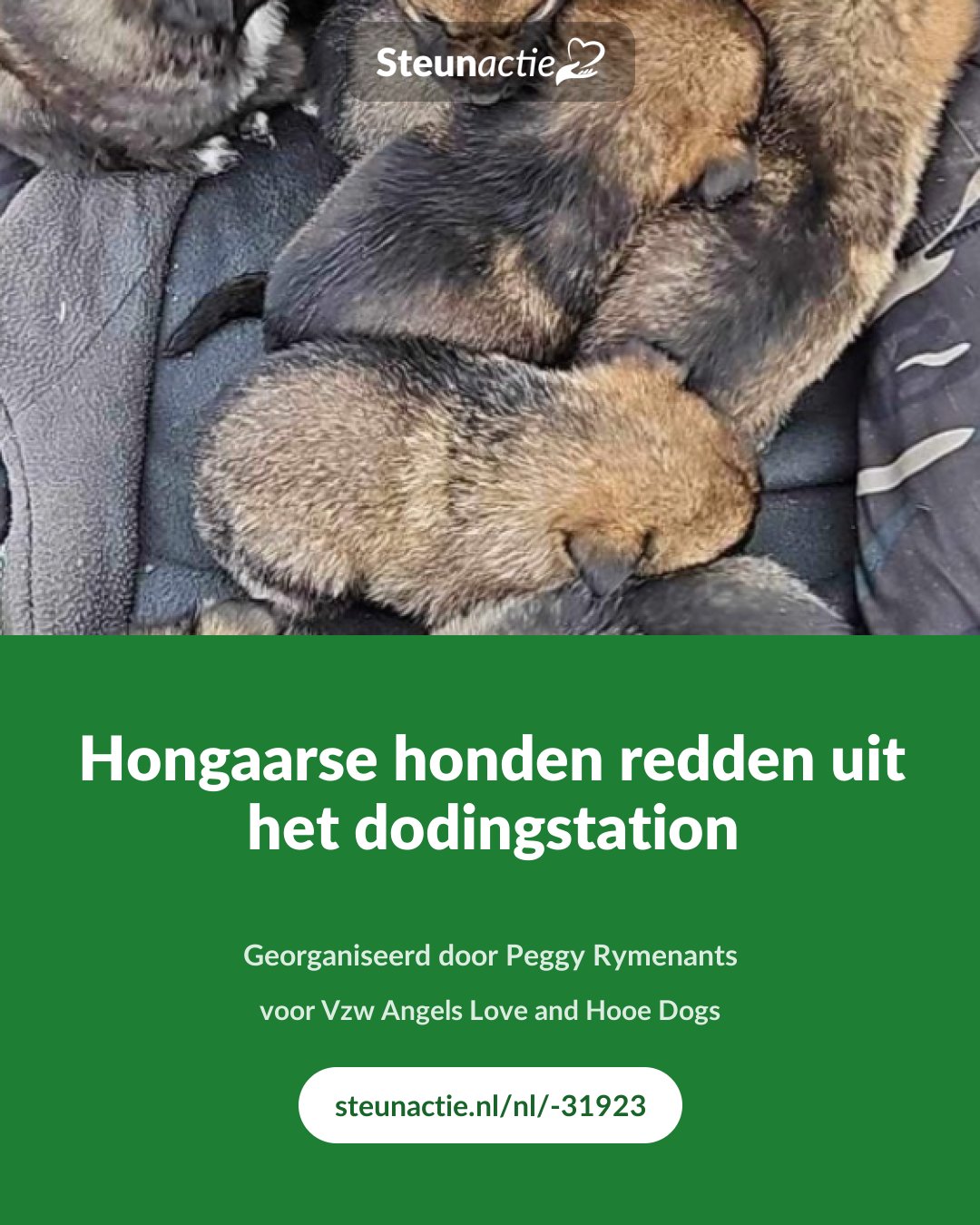 Voorbeeld van de afbeelding