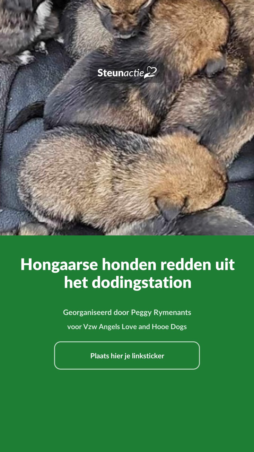 Voorbeeld van de afbeelding
