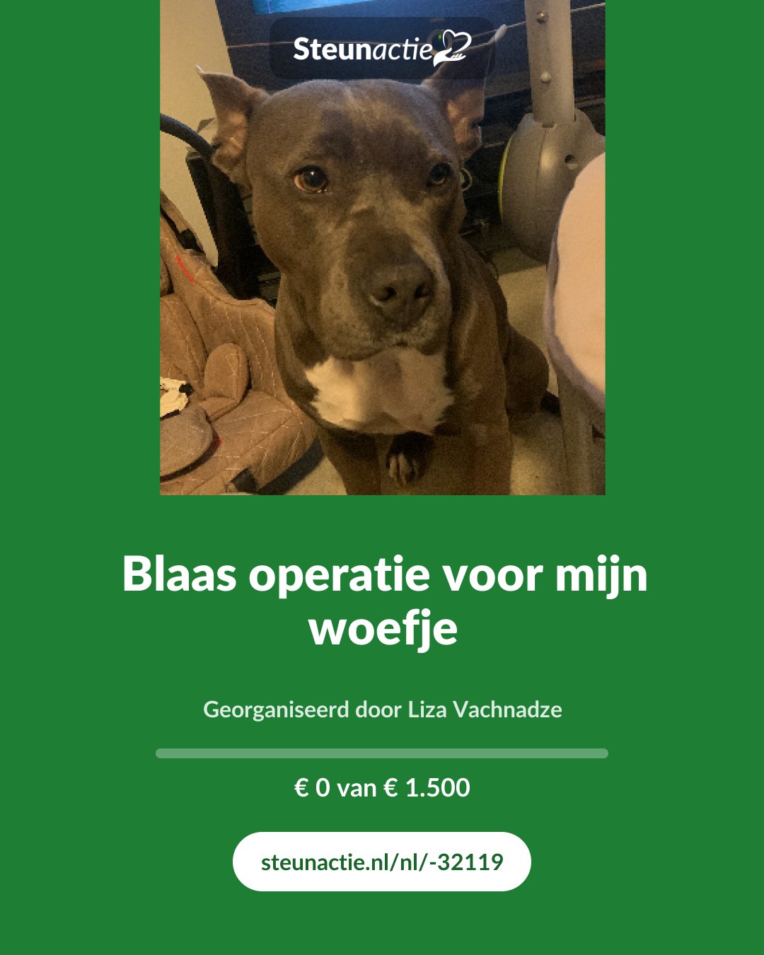 Voorbeeld van de afbeelding