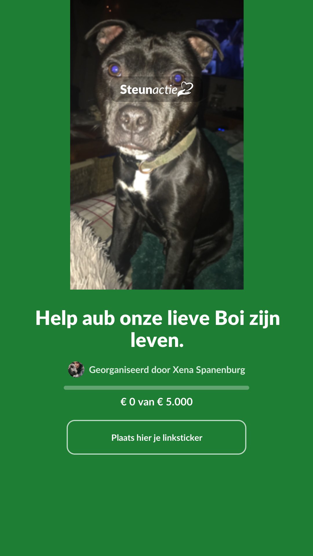 Voorbeeld van de afbeelding
