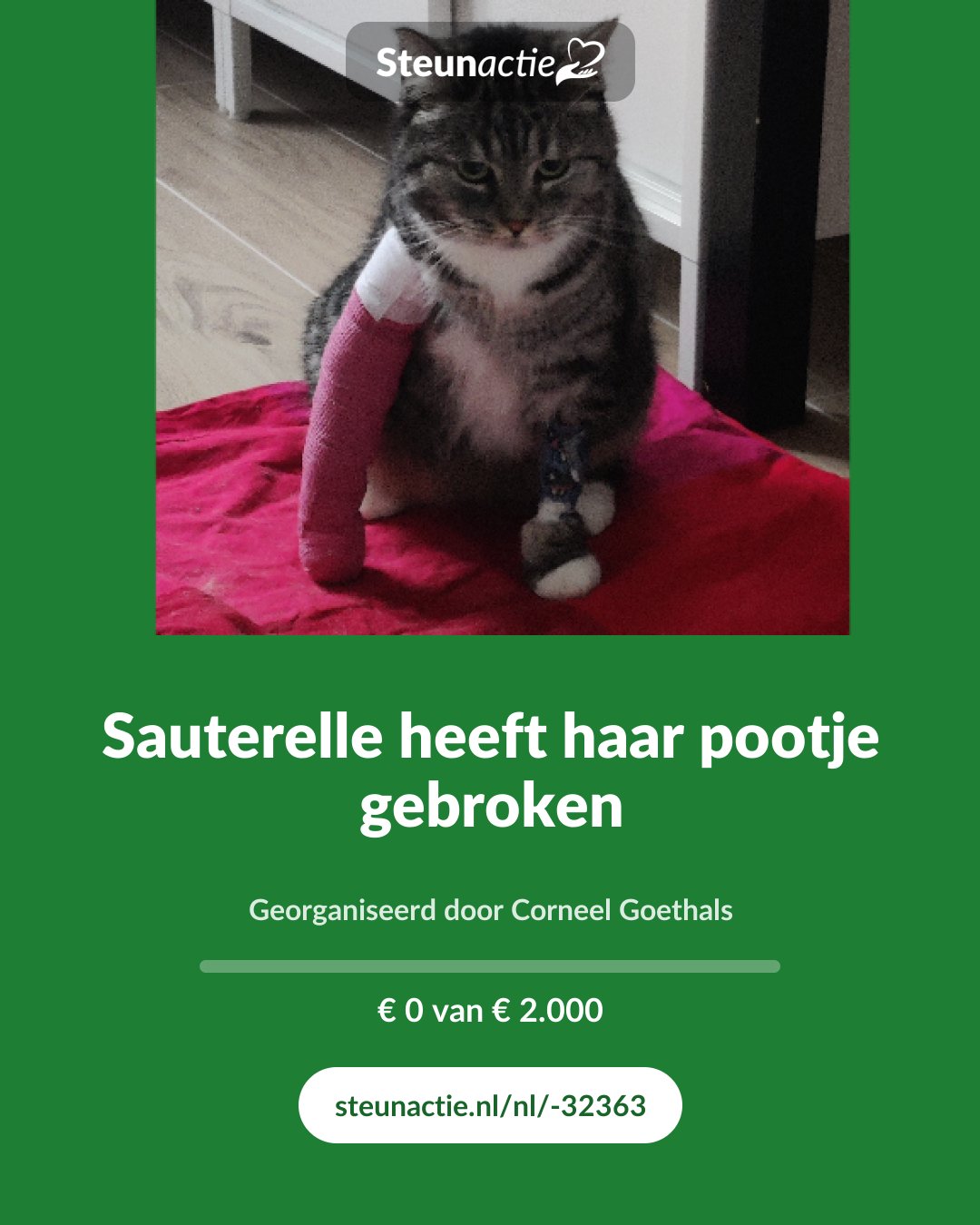 Voorbeeld van de afbeelding
