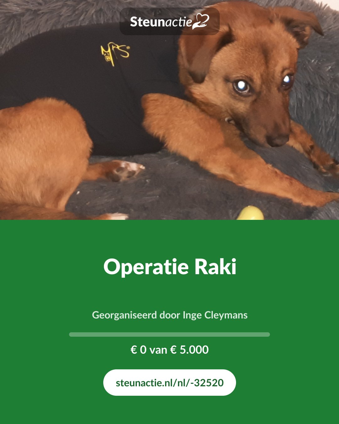 Voorbeeld van de afbeelding