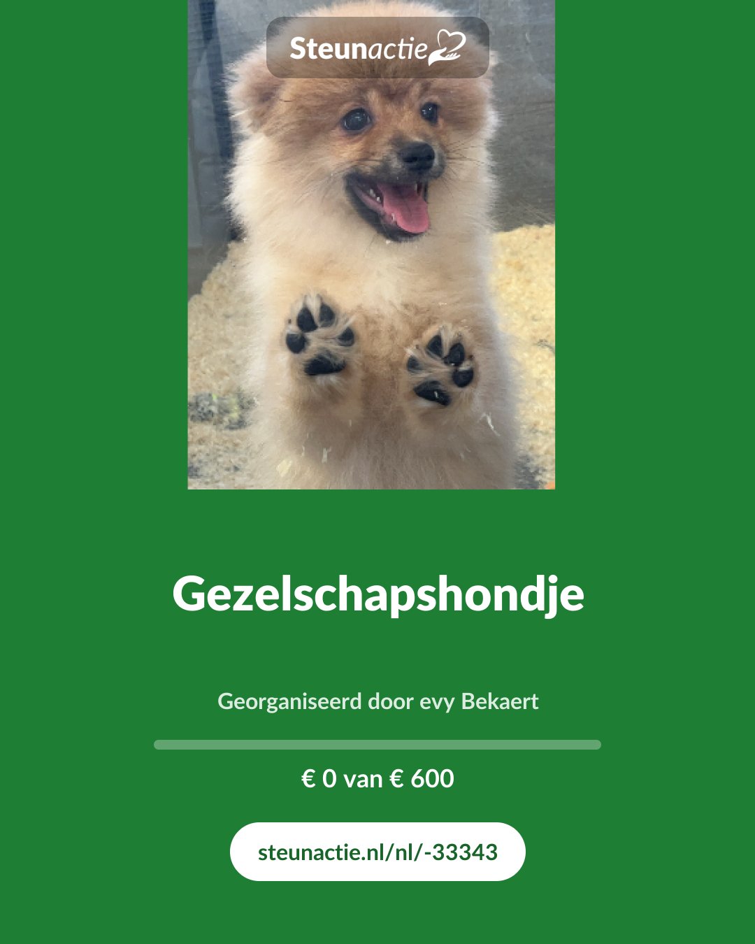 Voorbeeld van de afbeelding