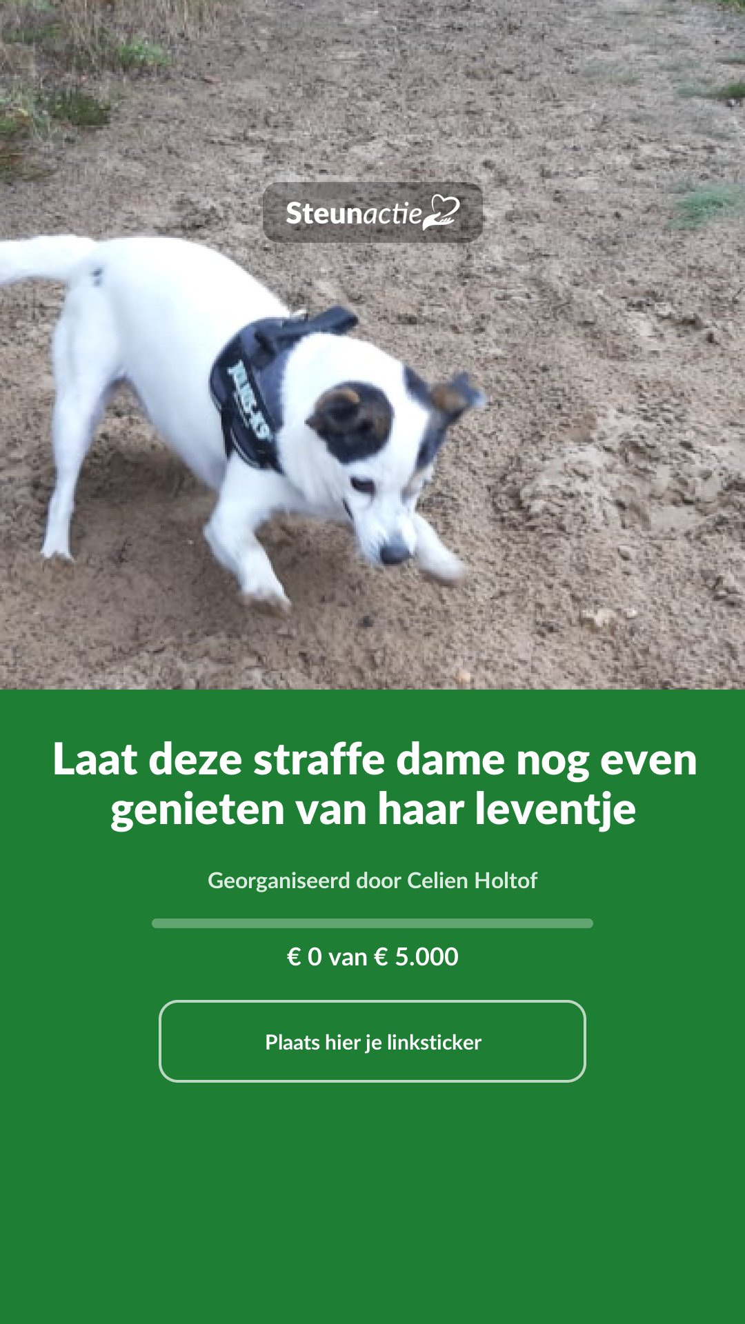Voorbeeld van de afbeelding