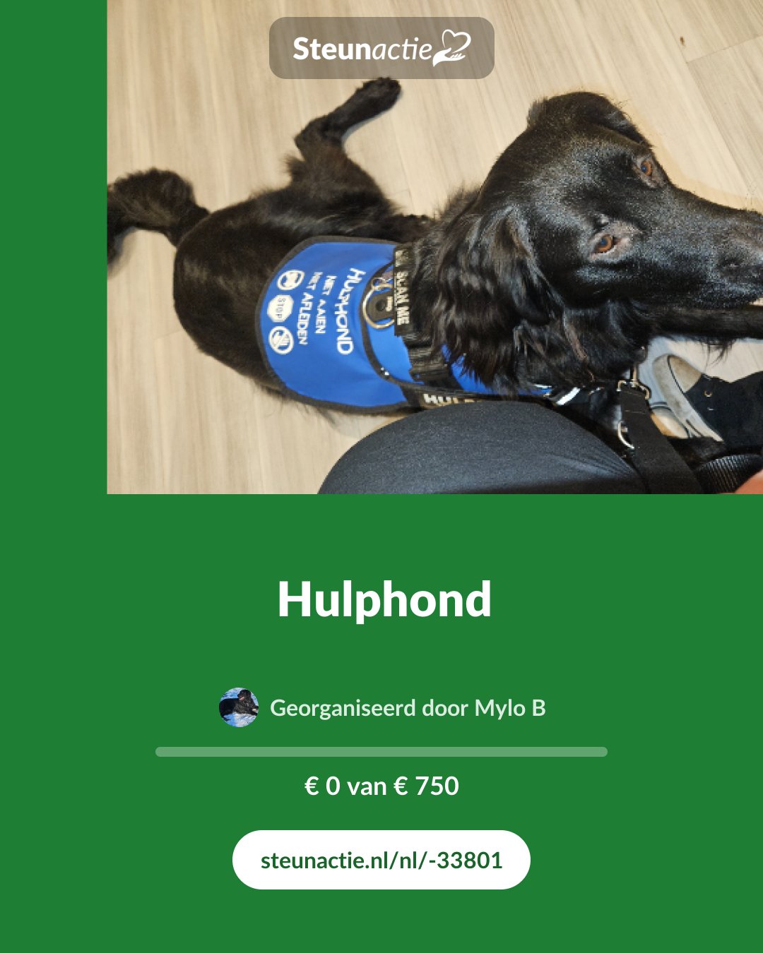 Voorbeeld van de afbeelding