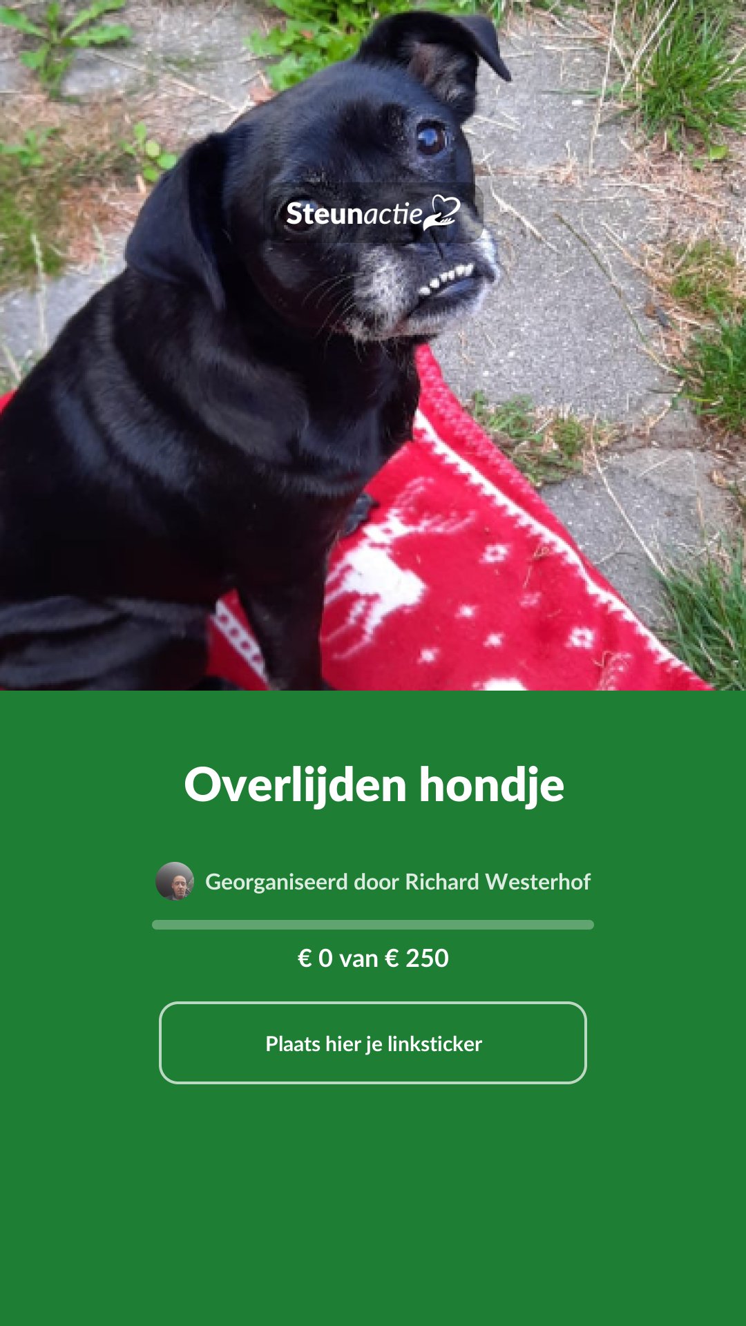 Voorbeeld van de afbeelding