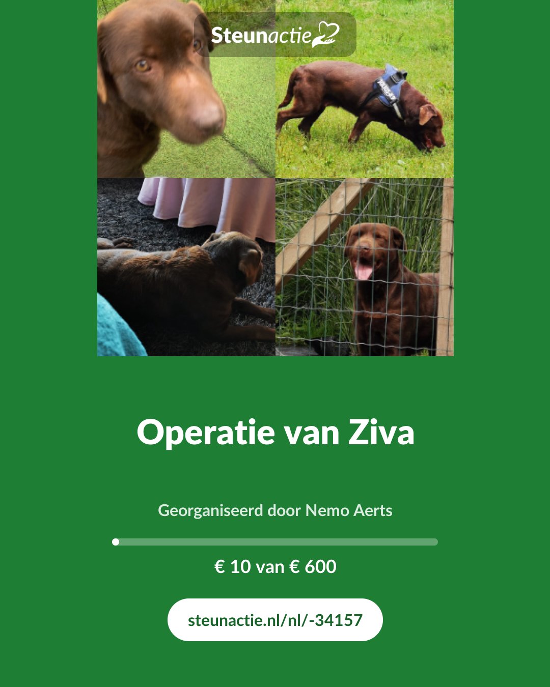Voorbeeld van de afbeelding