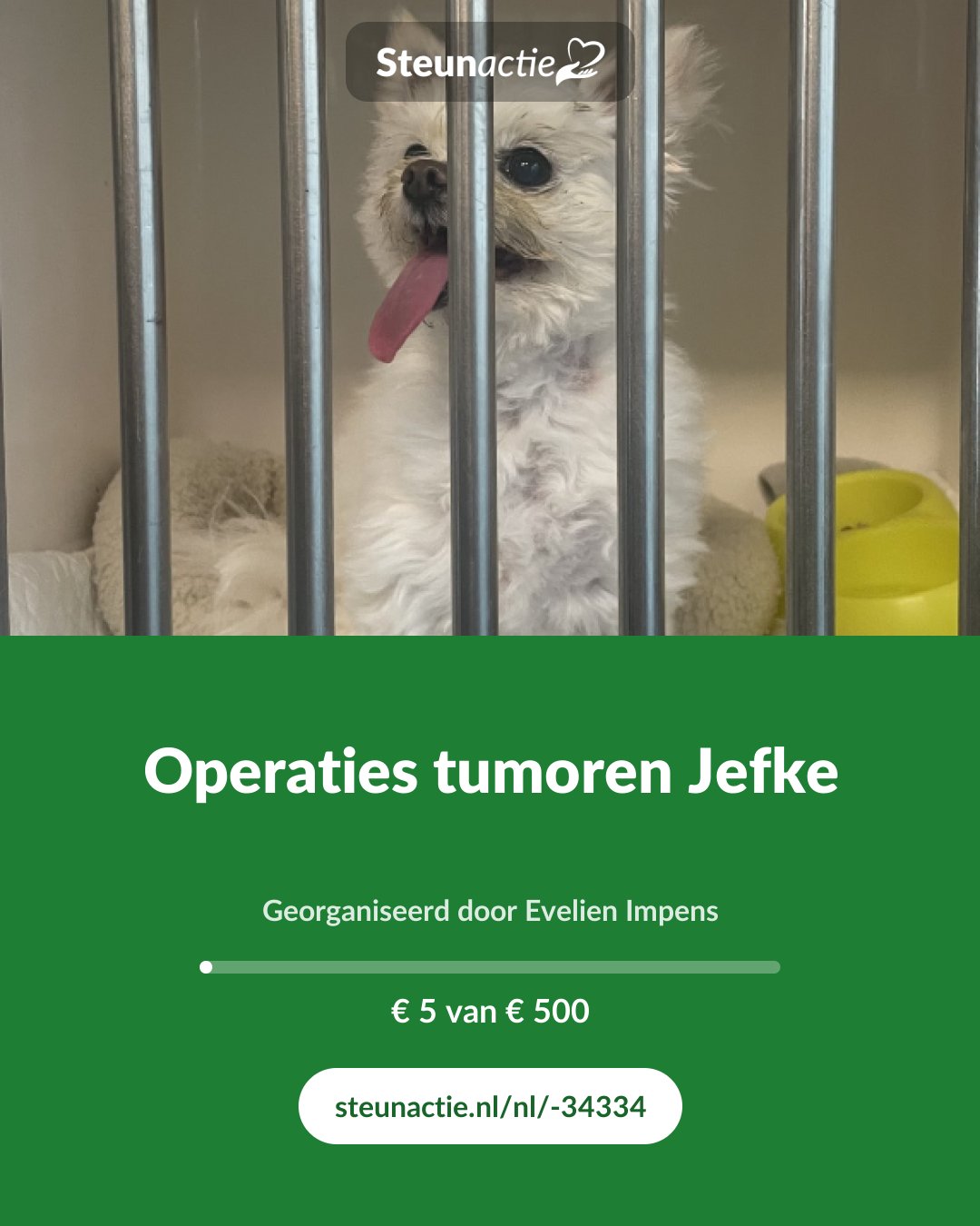 Voorbeeld van de afbeelding