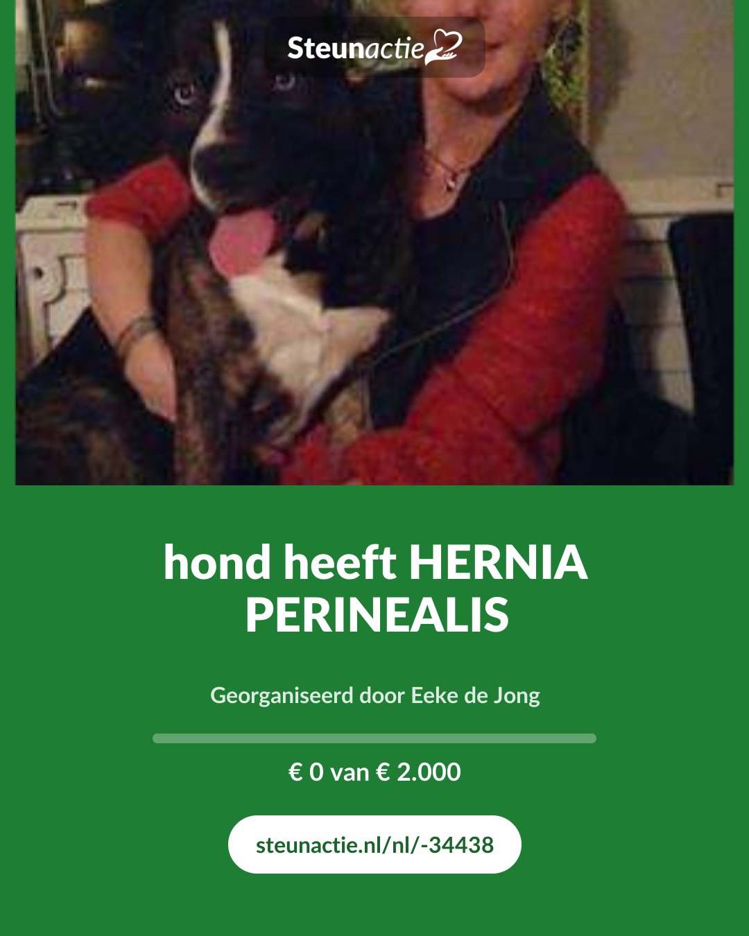 Voorbeeld van de afbeelding