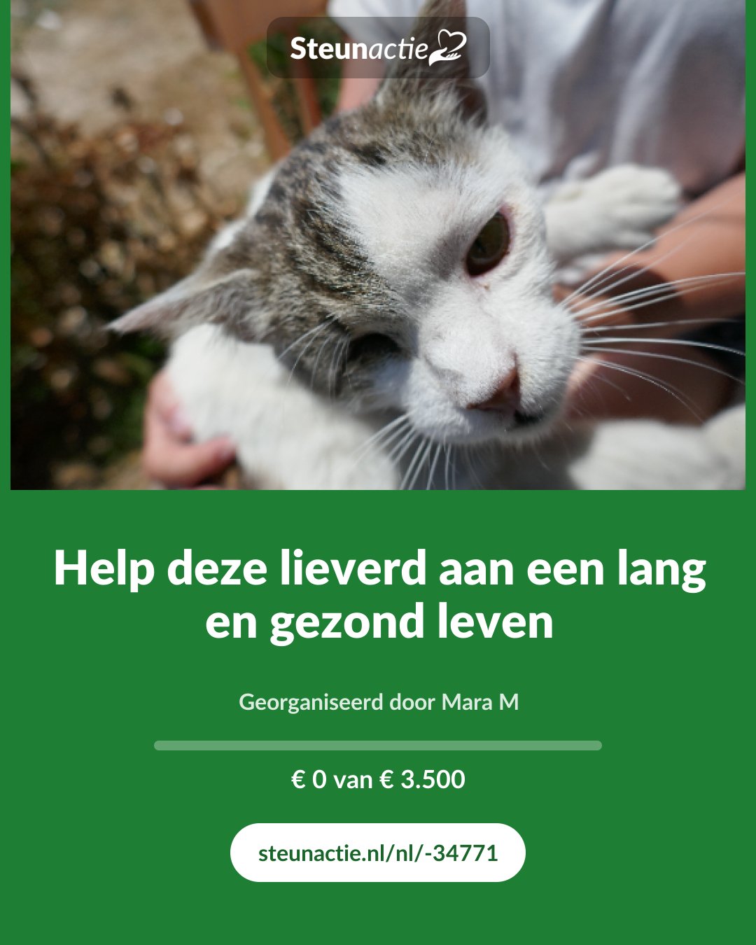 Voorbeeld van de afbeelding