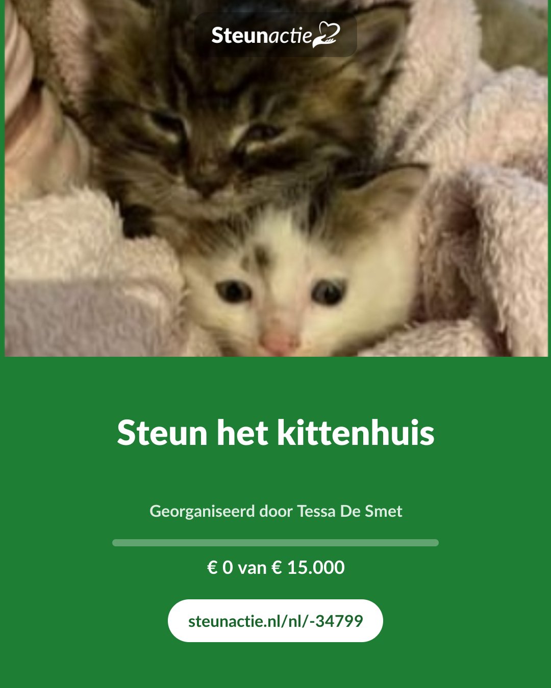 Voorbeeld van de afbeelding