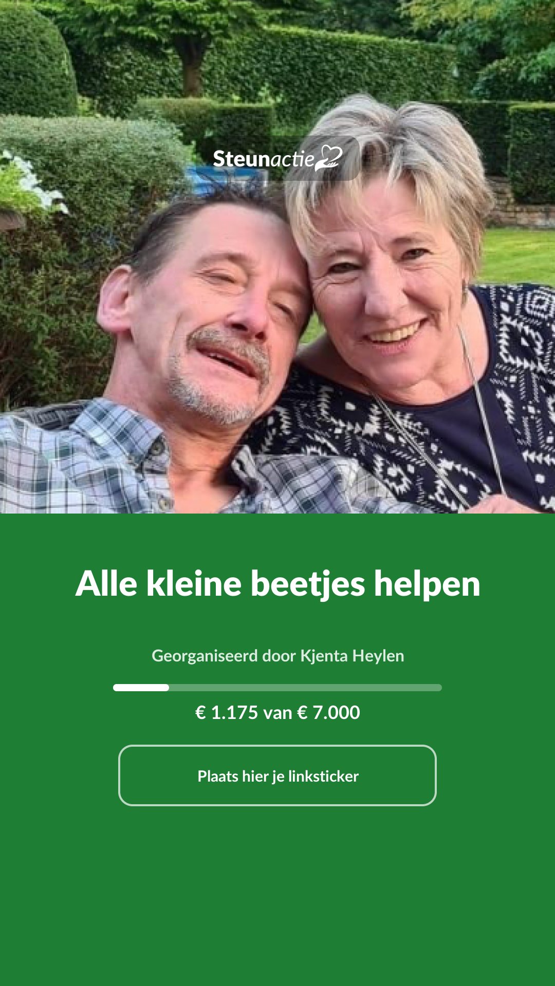 Voorbeeld van de afbeelding