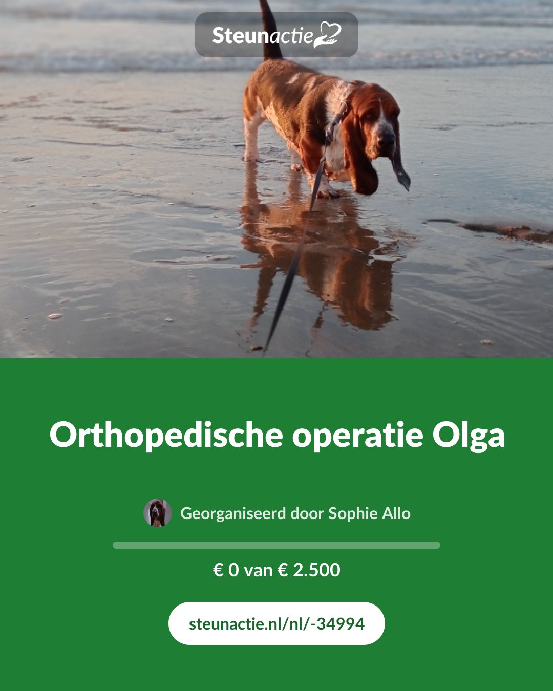 Voorbeeld van de afbeelding