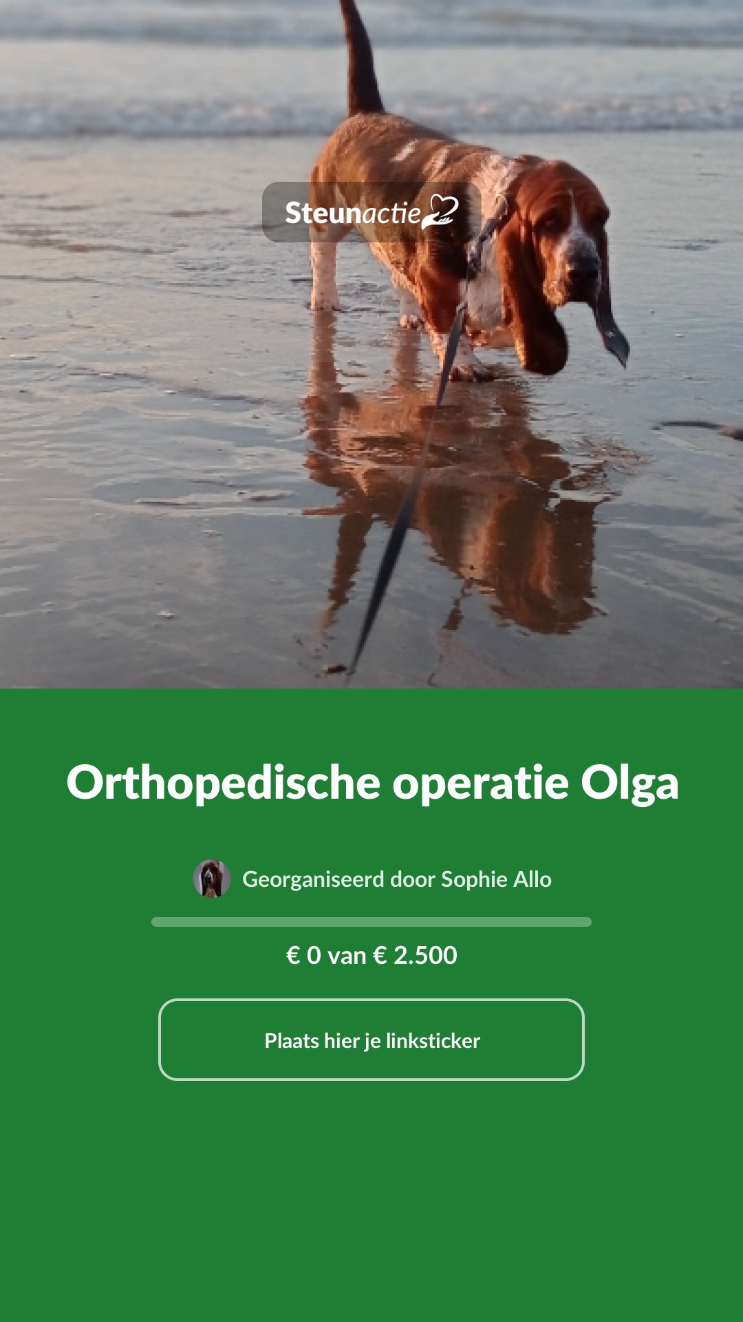 Voorbeeld van de afbeelding