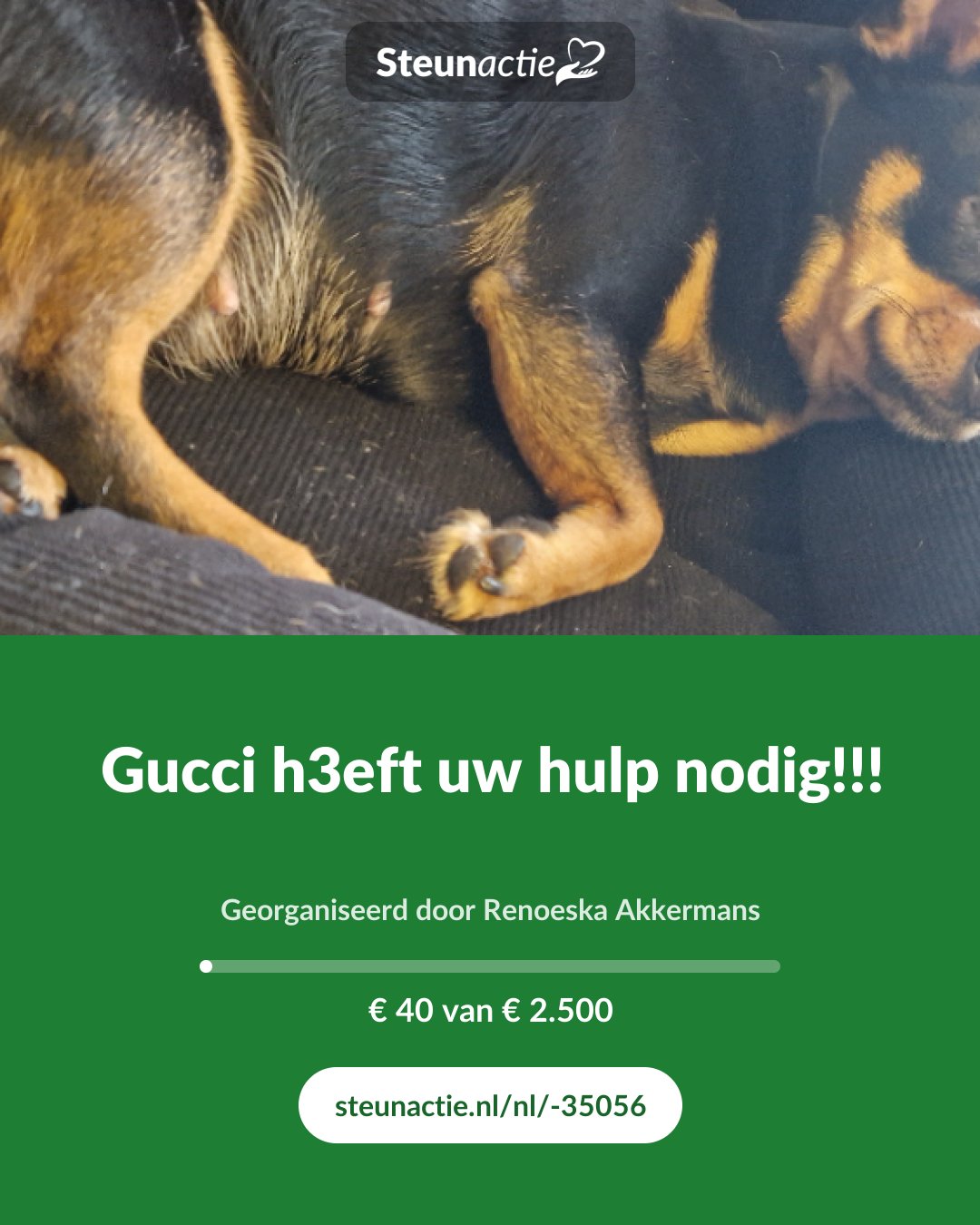Voorbeeld van de afbeelding