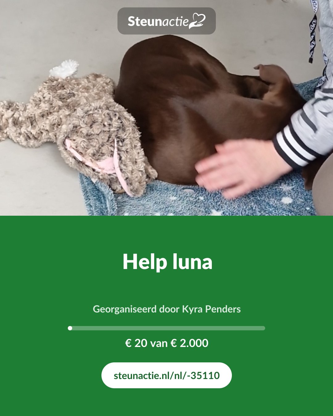 Voorbeeld van de afbeelding