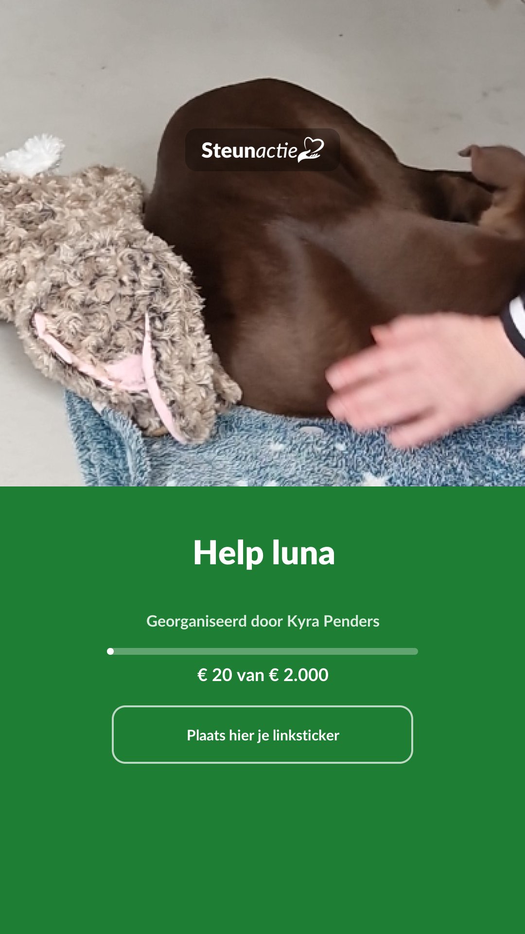 Voorbeeld van de afbeelding