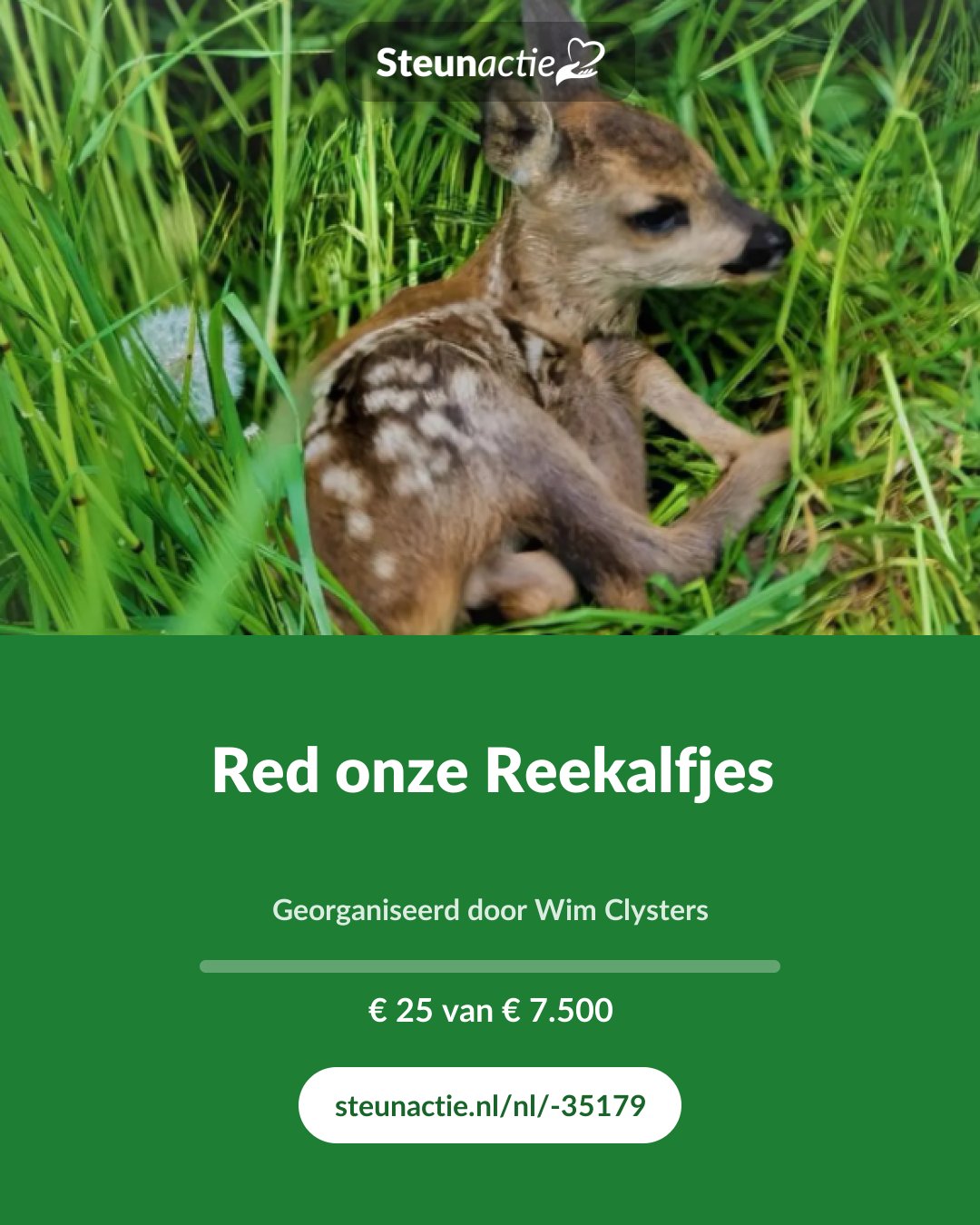 Voorbeeld van de afbeelding