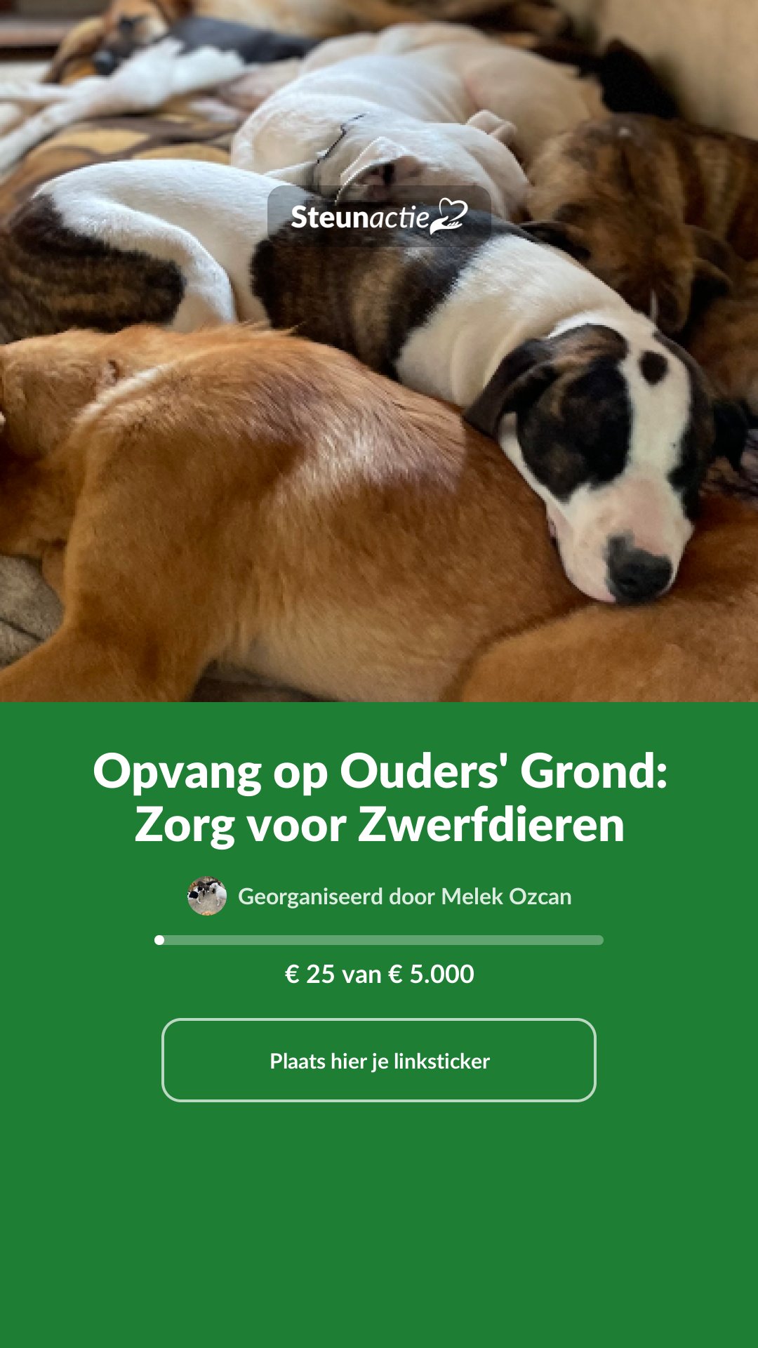 Voorbeeld van de afbeelding