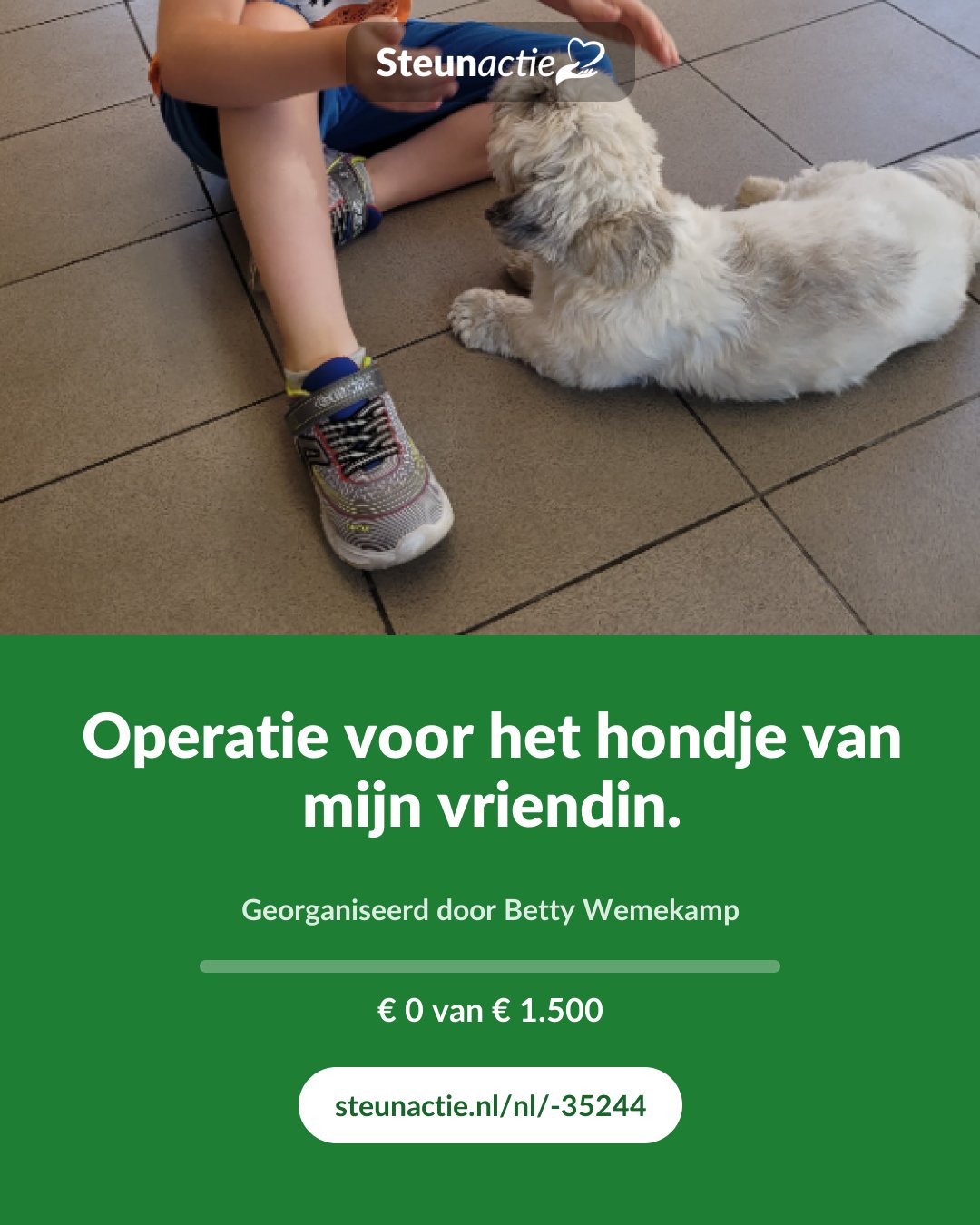 Voorbeeld van de afbeelding