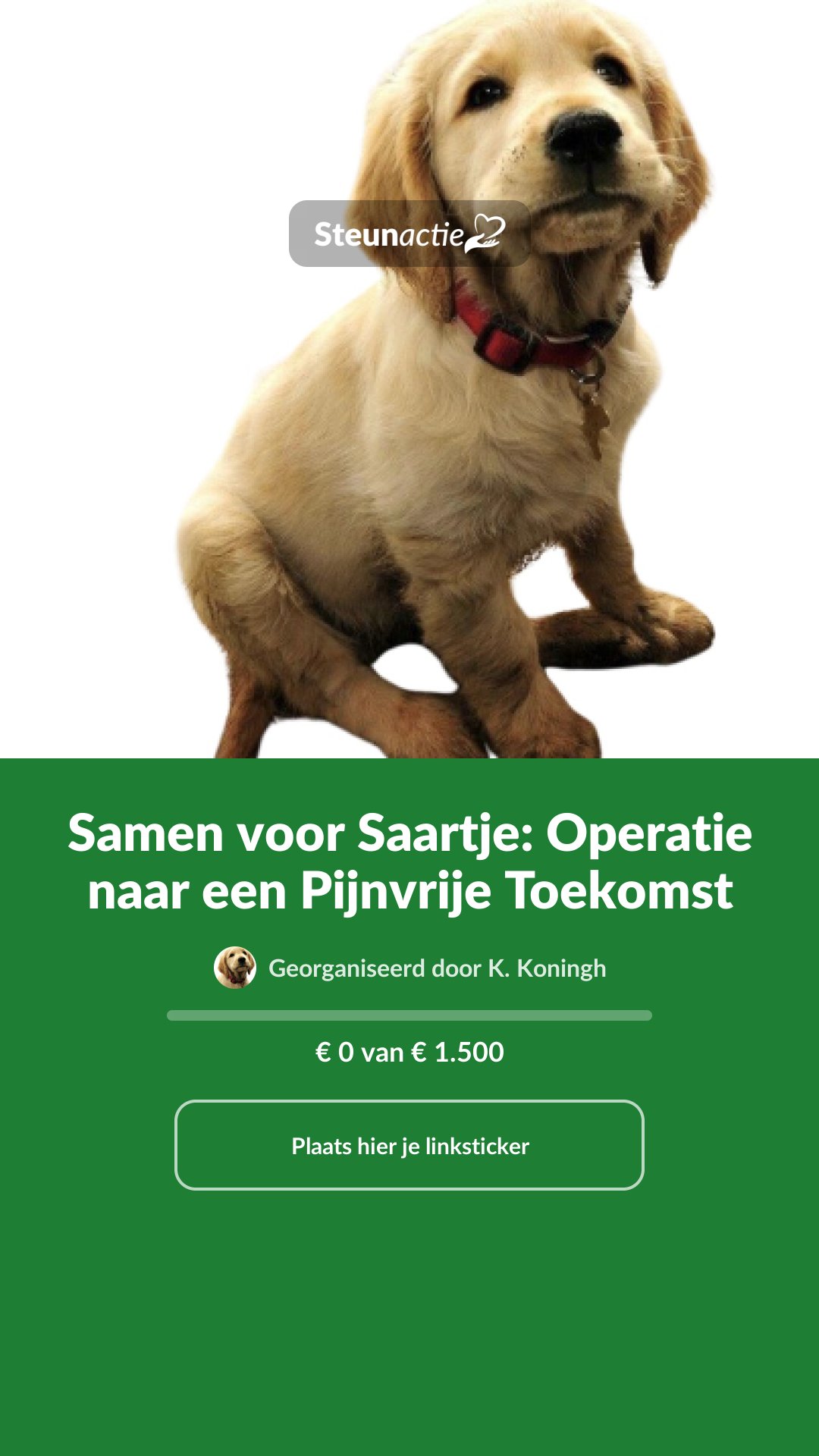 Voorbeeld van de afbeelding