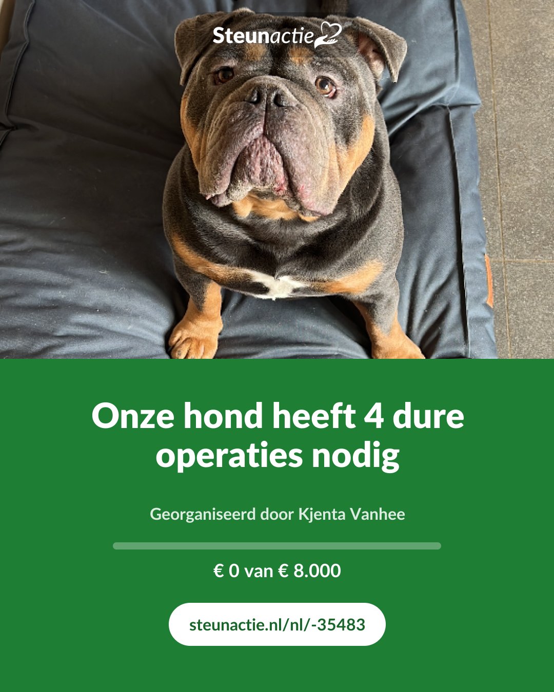 Voorbeeld van de afbeelding